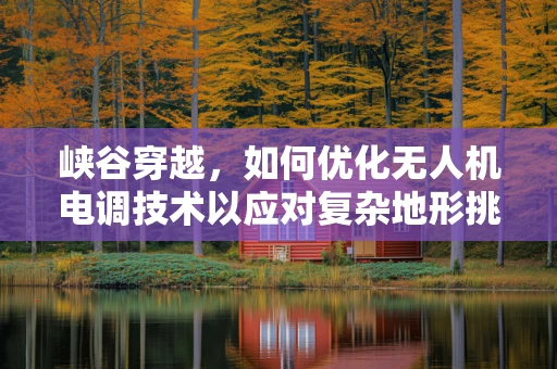 峡谷穿越，如何优化无人机电调技术以应对复杂地形挑战？