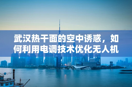武汉热干面的空中诱惑，如何利用电调技术优化无人机配送效率？