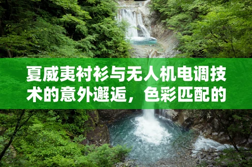 夏威夷衬衫与无人机电调技术的意外邂逅，色彩匹配的启示？