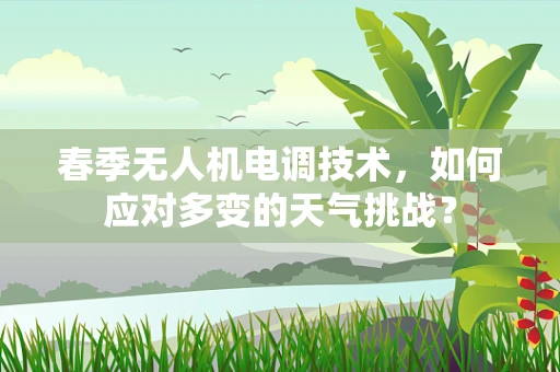 春季无人机电调技术，如何应对多变的天气挑战？