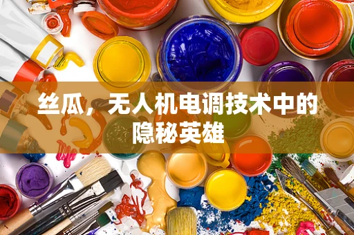 丝瓜，无人机电调技术中的隐秘英雄
