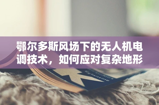 鄂尔多斯风场下的无人机电调技术，如何应对复杂地形挑战？