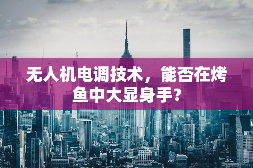 无人机电调技术，能否在烤鱼中大显身手？