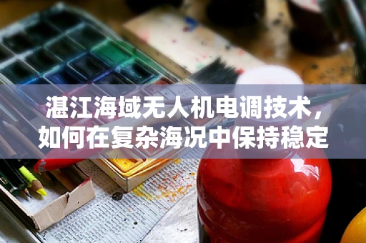 湛江海域无人机电调技术，如何在复杂海况中保持稳定飞行？