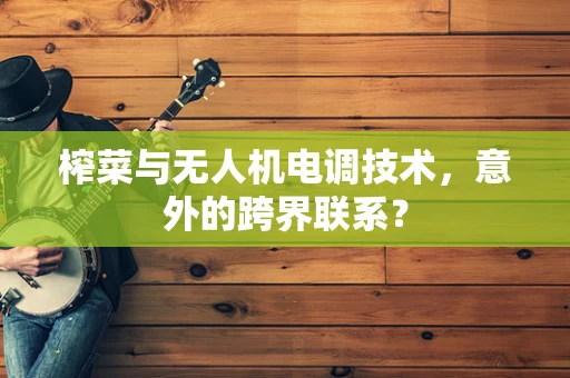榨菜与无人机电调技术，意外的跨界联系？