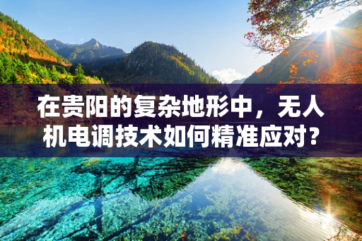 在贵阳的复杂地形中，无人机电调技术如何精准应对？