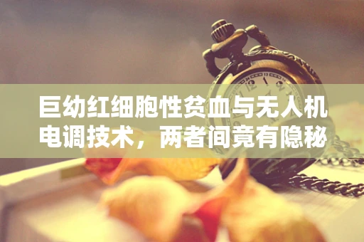 巨幼红细胞性贫血与无人机电调技术，两者间竟有隐秘联系？