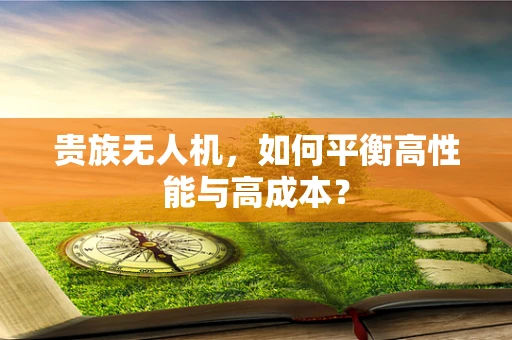 贵族无人机，如何平衡高性能与高成本？