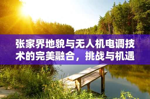 张家界地貌与无人机电调技术的完美融合，挑战与机遇
