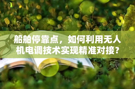 船舶停靠点，如何利用无人机电调技术实现精准对接？