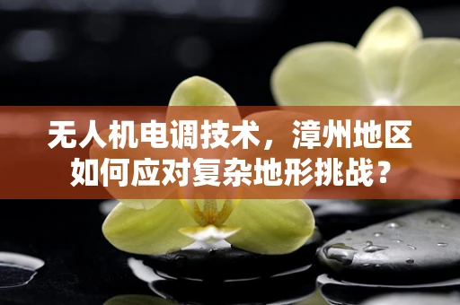 无人机电调技术，漳州地区如何应对复杂地形挑战？