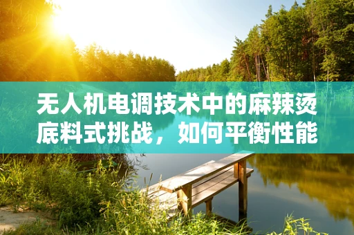无人机电调技术中的麻辣烫底料式挑战，如何平衡性能与稳定性？