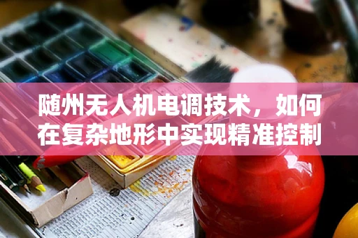 随州无人机电调技术，如何在复杂地形中实现精准控制？