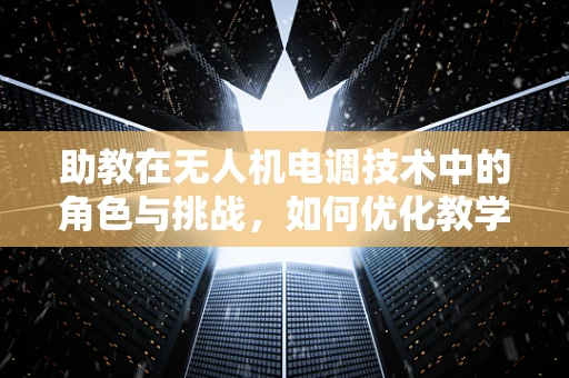 助教在无人机电调技术中的角色与挑战，如何优化教学与实战的融合？