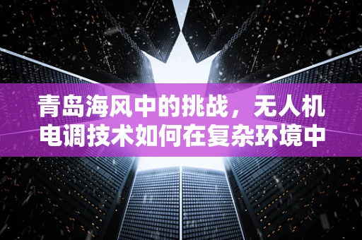 青岛海风中的挑战，无人机电调技术如何在复杂环境中稳定飞行？