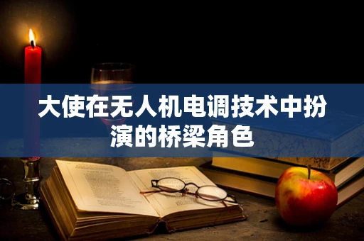 大使在无人机电调技术中扮演的桥梁角色