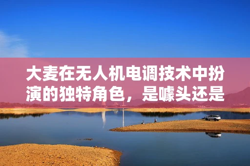 大麦在无人机电调技术中扮演的独特角色，是噱头还是实效？