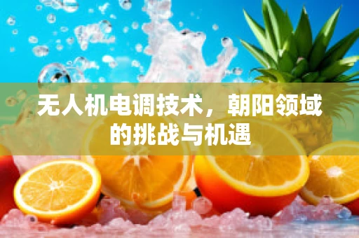 无人机电调技术，朝阳领域的挑战与机遇