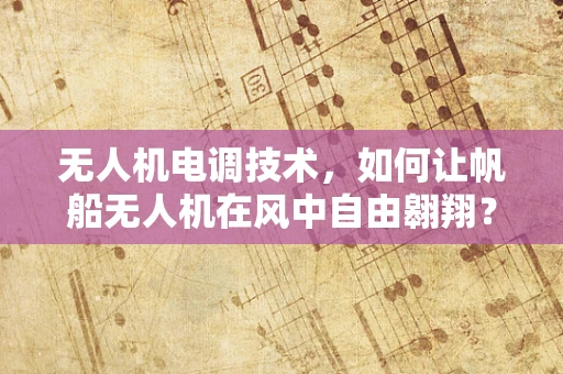无人机电调技术，如何让帆船无人机在风中自由翱翔？