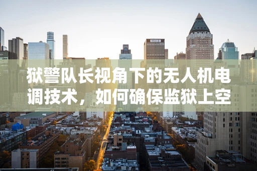 狱警队长视角下的无人机电调技术，如何确保监狱上空的安全与监控？
