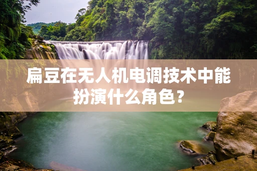 扁豆在无人机电调技术中能扮演什么角色？