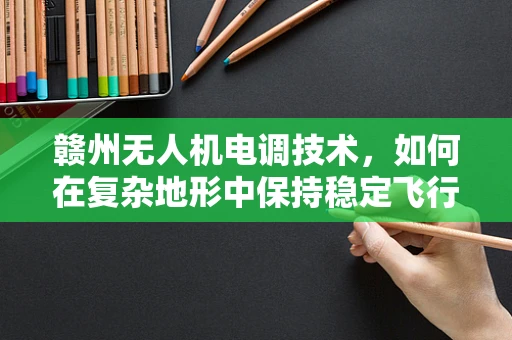 赣州无人机电调技术，如何在复杂地形中保持稳定飞行？