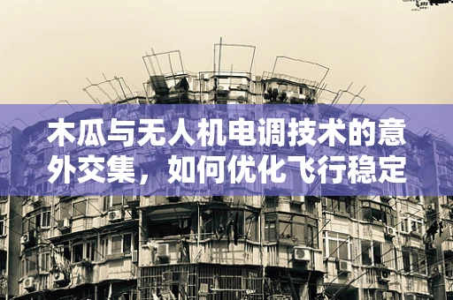 木瓜与无人机电调技术的意外交集，如何优化飞行稳定性？