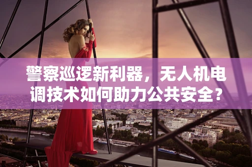 警察巡逻新利器，无人机电调技术如何助力公共安全？