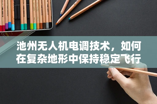 池州无人机电调技术，如何在复杂地形中保持稳定飞行？