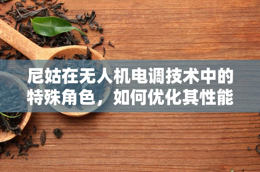 尼姑在无人机电调技术中的特殊角色，如何优化其性能与安全性？