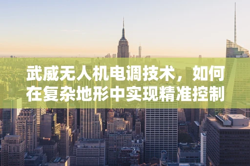 武威无人机电调技术，如何在复杂地形中实现精准控制？